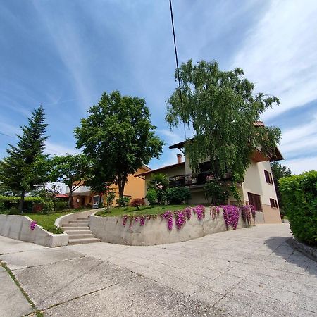 Apartma Breza Kojsko Exterior photo